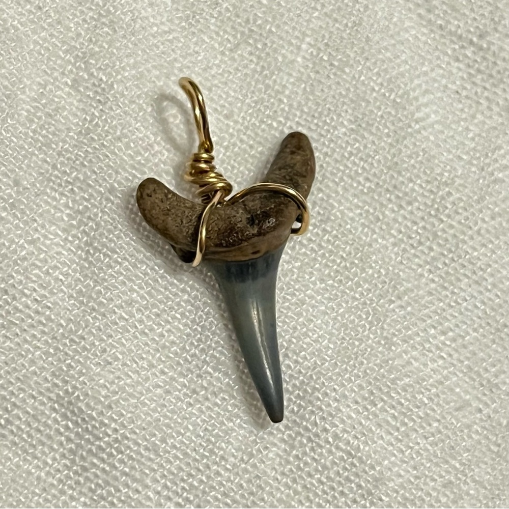 Solid 14K Yellow Gold Shark Tooth Charm Pendant